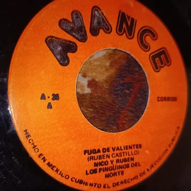 Fuga de valientes / Tomando de día by Los Pingüinos del Norte - album cover