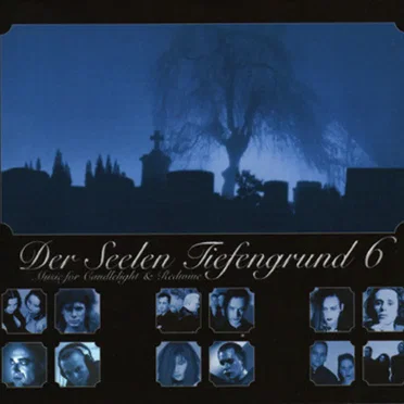 Der Seelen Tiefengrund, Volume 6 by Various Artists - album cover