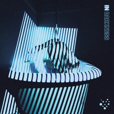 In Darkness by Varials - album cover