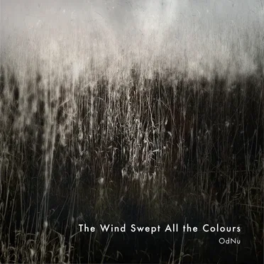 The Wind Swept All the Colours by OdNu - album cover