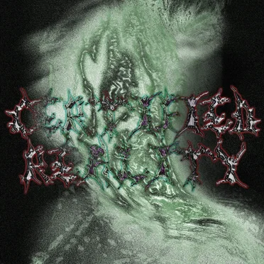Certified Reality by Various Artists - album cover