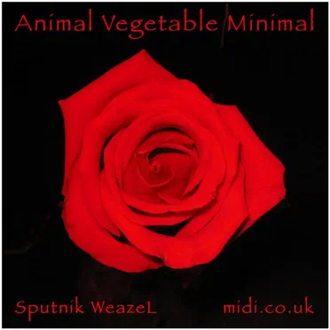 Animal Vegetable Minimal