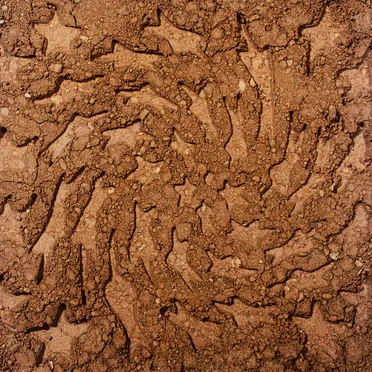 Unerthed: Hole Erth Unplugged