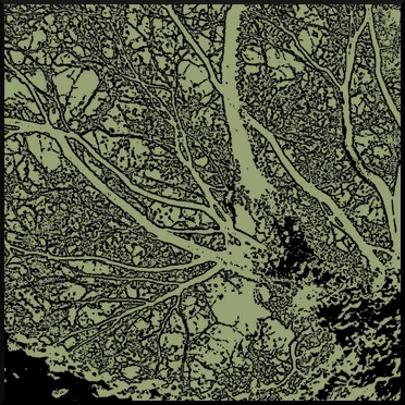 improper nouns ep