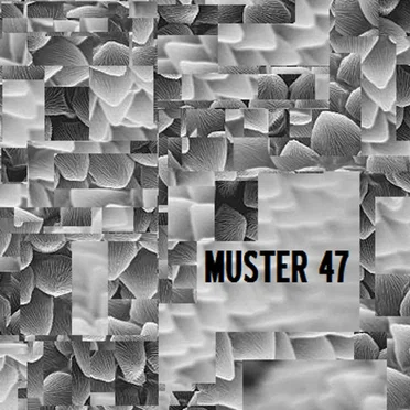 Muster 47 by Various Artists - album cover