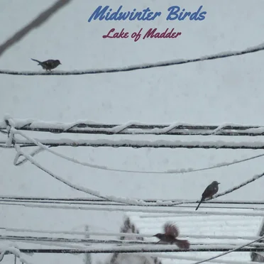 Midwinter Birds by Lake of Madder - album cover