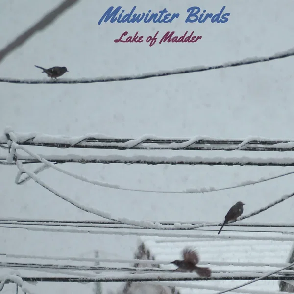 Midwinter Birds