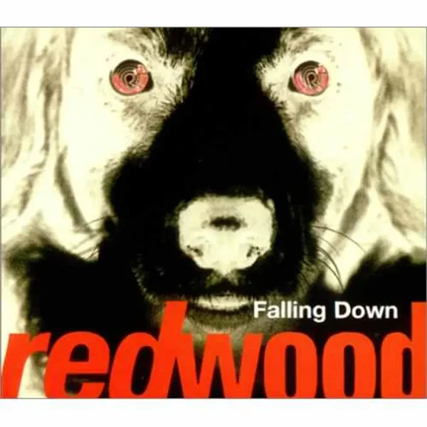 Falling Down
