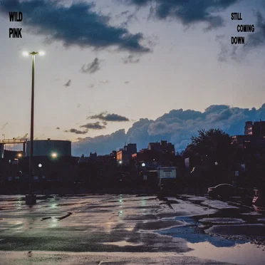 Still Coming Down by Wild Pink - album cover