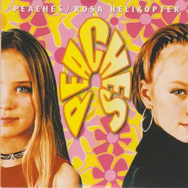Rosa helikopter by Peaches - album cover