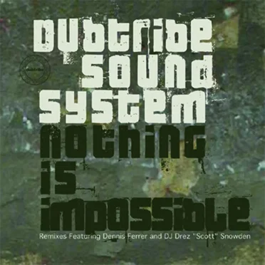 Nothing Is Impossible by Dub Tribe Sound System - album cover
