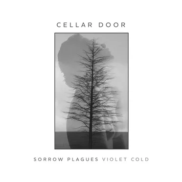 Cellar Door