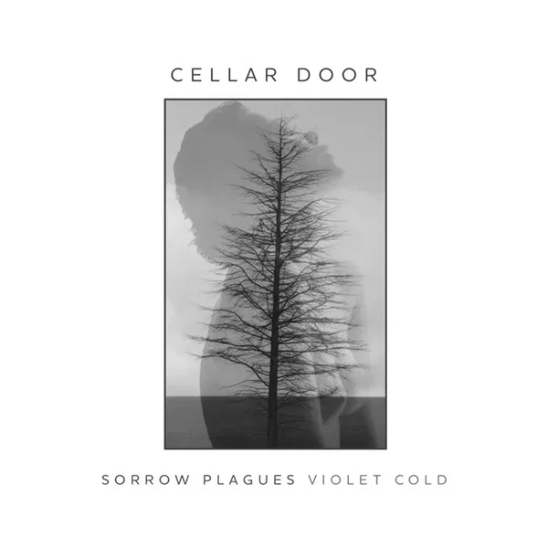 Cellar Door