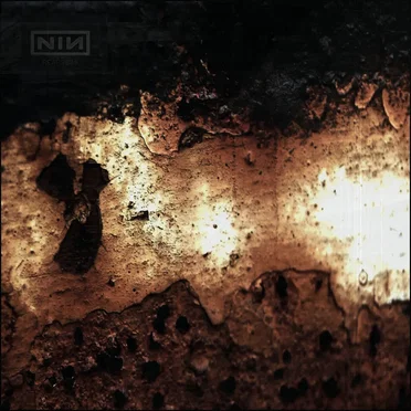 Nine Inch Nails - Reaps Remixes 004