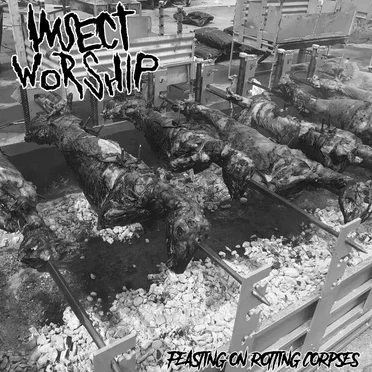 Feasting on Rotting Corpses by Insect Worship - album cover