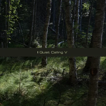 Quiet Calling V by Quiet Calling - album cover