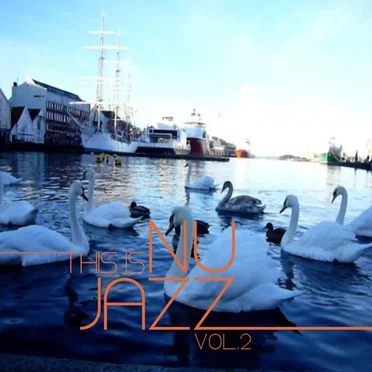 This is Nu Jazz Vol. 2 by Various Artists - album cover