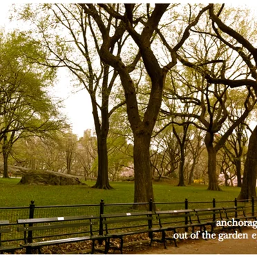 Out of the Garden by Anchorage - album cover