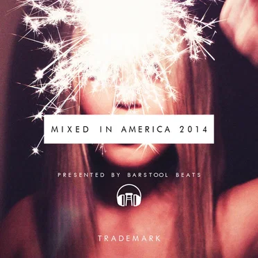 Mixed in America 2014