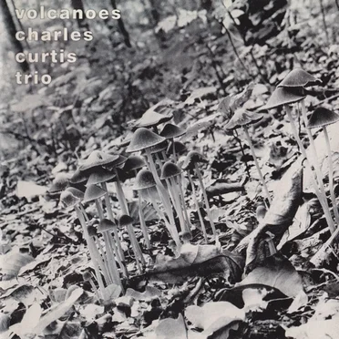 Volcanoes by Charles Curtis Trio - album cover