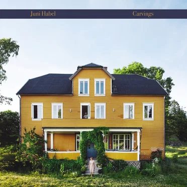 Carvings by Juni Habel - album cover