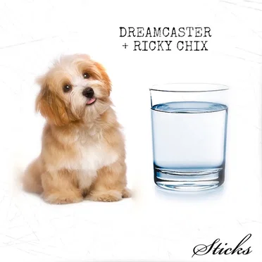 Sticks by Dream Caster - album cover