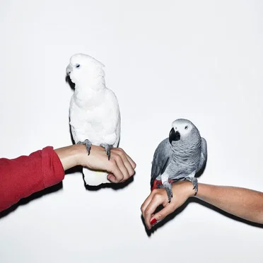 U and Me by M.I.L.K. - album cover