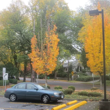 Portland, OR. Oct. 20th, 2019.