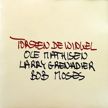 Torsten de Winkel Acoustic Quartet