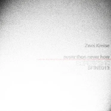 Never Then Never How by Zwei Kreise - album cover