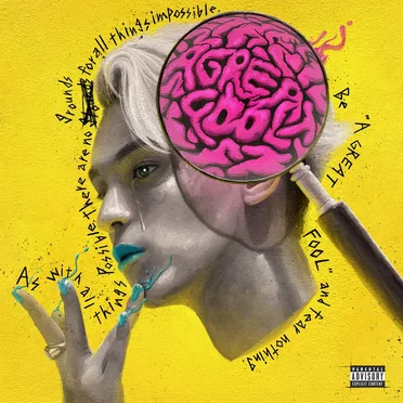 A GREAT FOOL by Novel Core - album cover