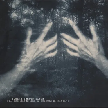 All the Birds and a Telephone Ringing