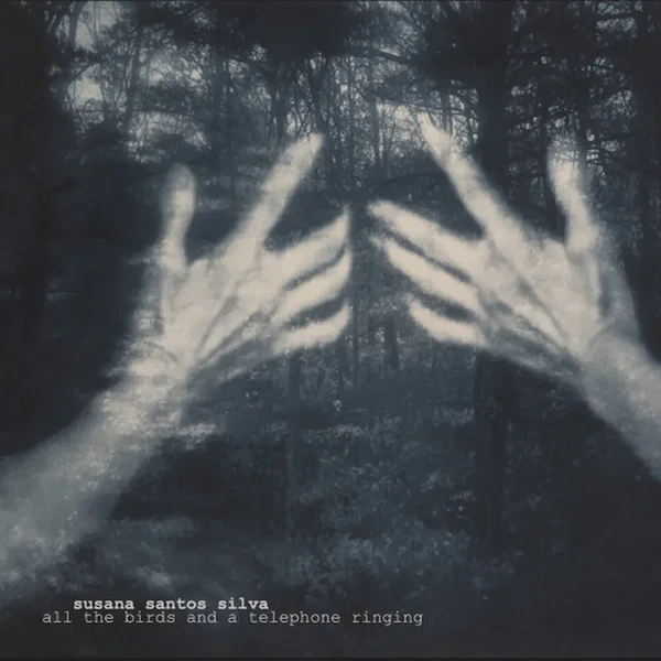 All the Birds and a Telephone Ringing