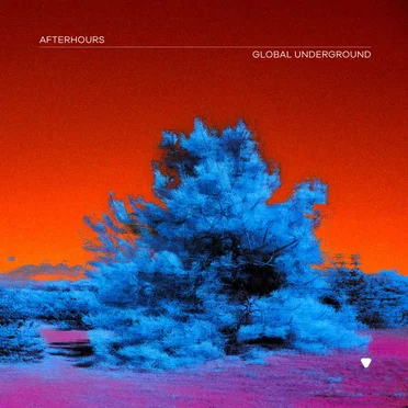 Global Underground: Afterhours 9 by Various Artists - album cover