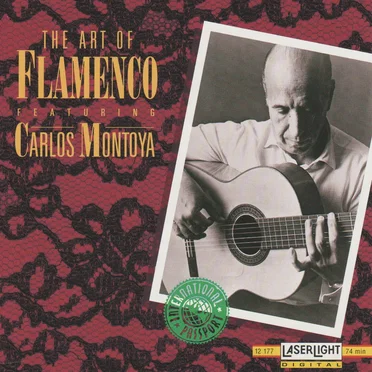 The Art of Flamenco