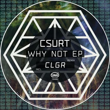 Why Not EP by Csurt - album cover