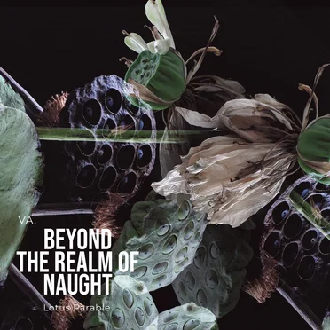VA. Beyond the realm of naught by Various Artists - album cover