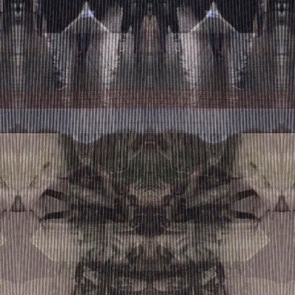 The Unseen Shadows