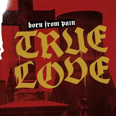 True Love by Born From Pain - album cover