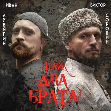 Шли два брата
