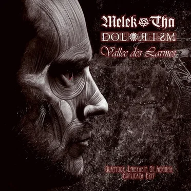 Quattuor Liberabit Si Aenigma Explicata Erit