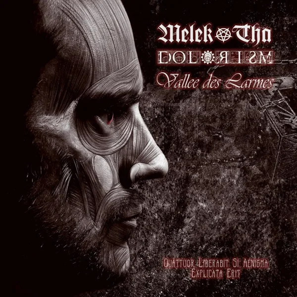 Quattuor Liberabit Si Aenigma Explicata Erit