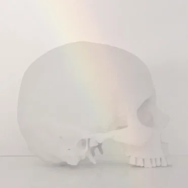 Everything Is Made of Glass