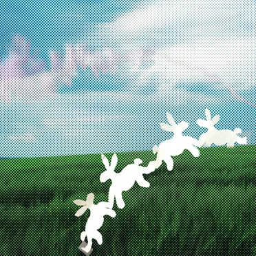 Strange Meadow Incense by Various Artists - album cover