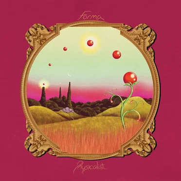 Physicalist by FORMA - album cover