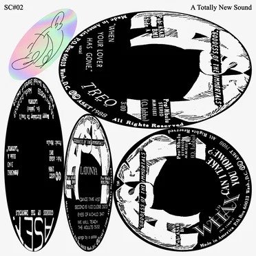 A Totally New Sound by Various Artists - album cover