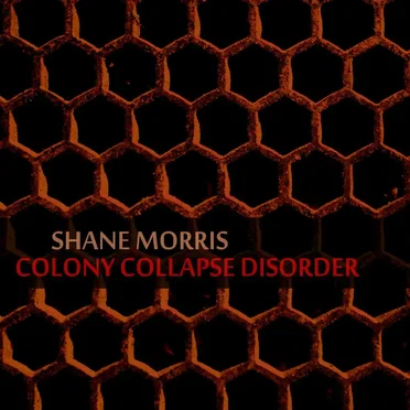 Colony Collapse Disorder