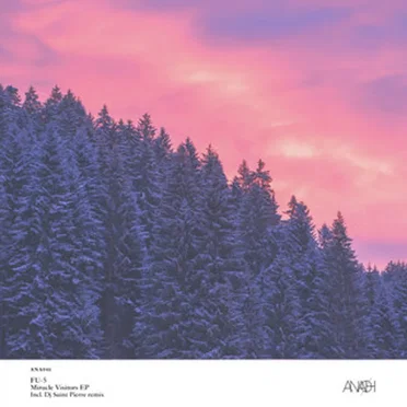 Miracle Visitors EP by FU-5 - album cover