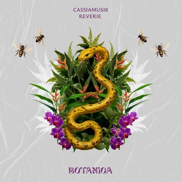 Reverie by Cassiamusik - album cover