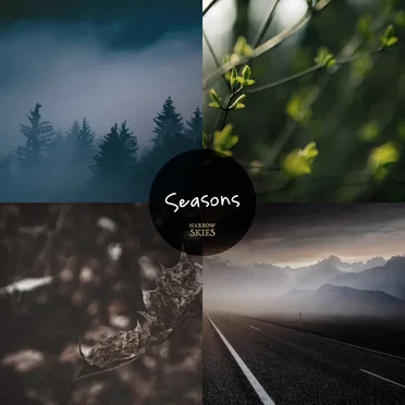 Seasons by Narrow Skies - album cover